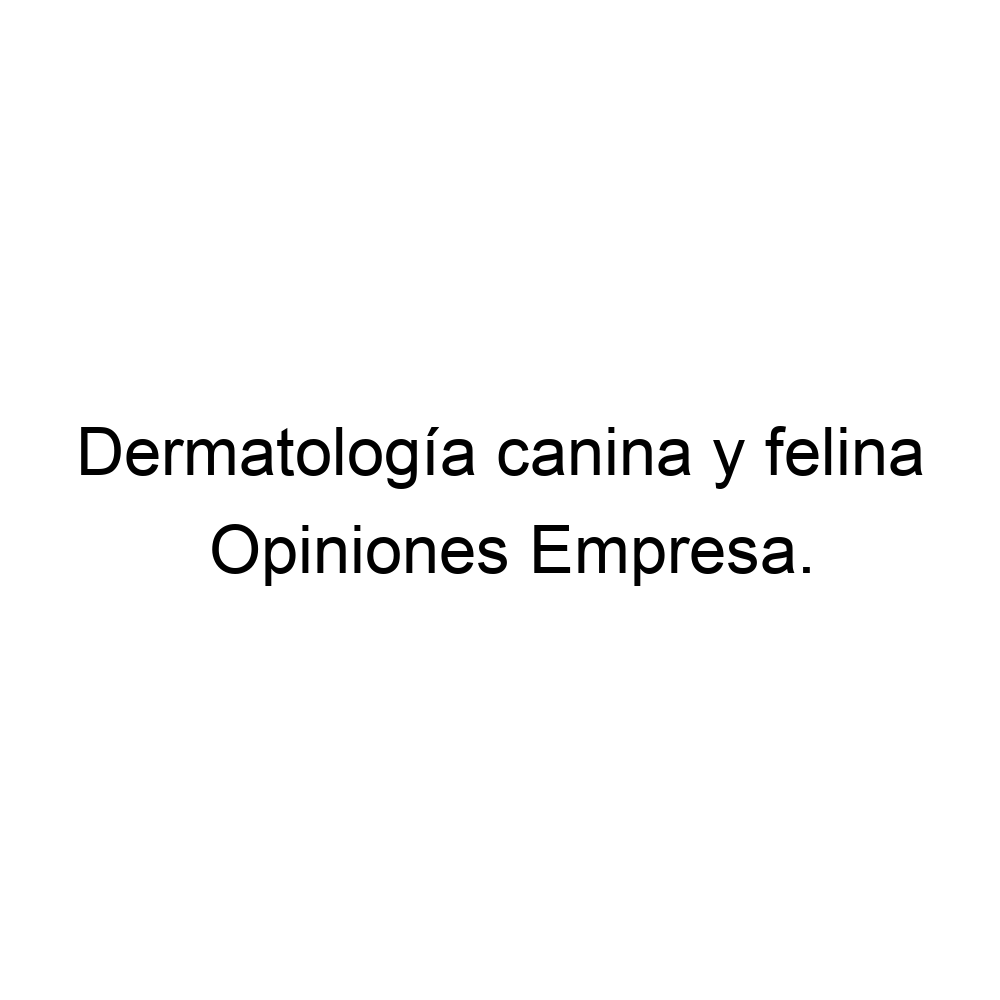 Opiniones Dermatolog A Canina Y Felina Iberia Suba